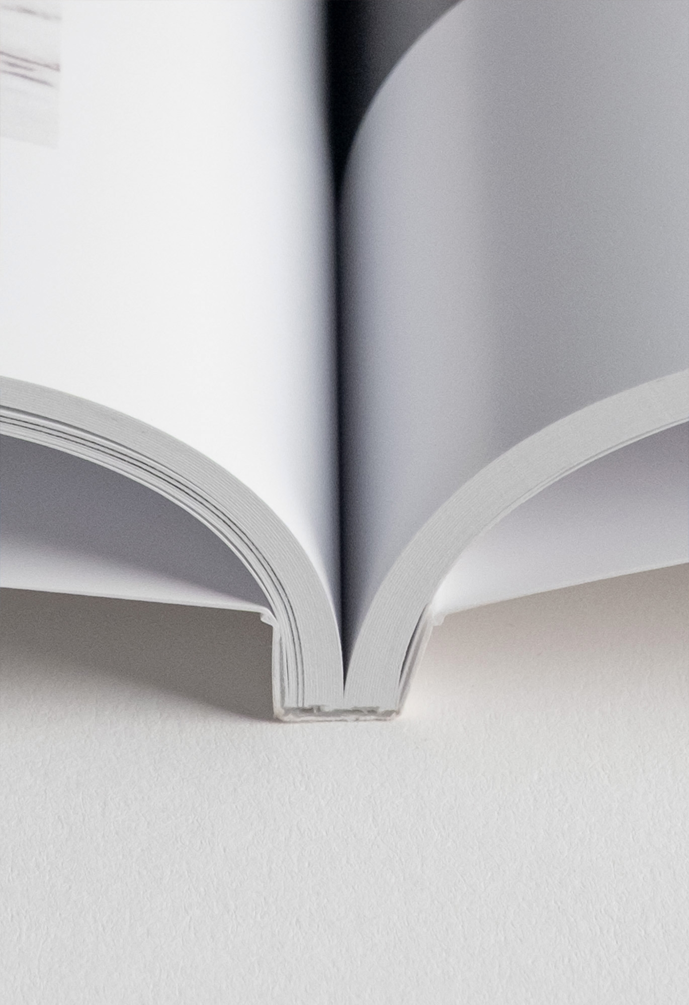 Colección Magazine Family Detalles Estructurales 2