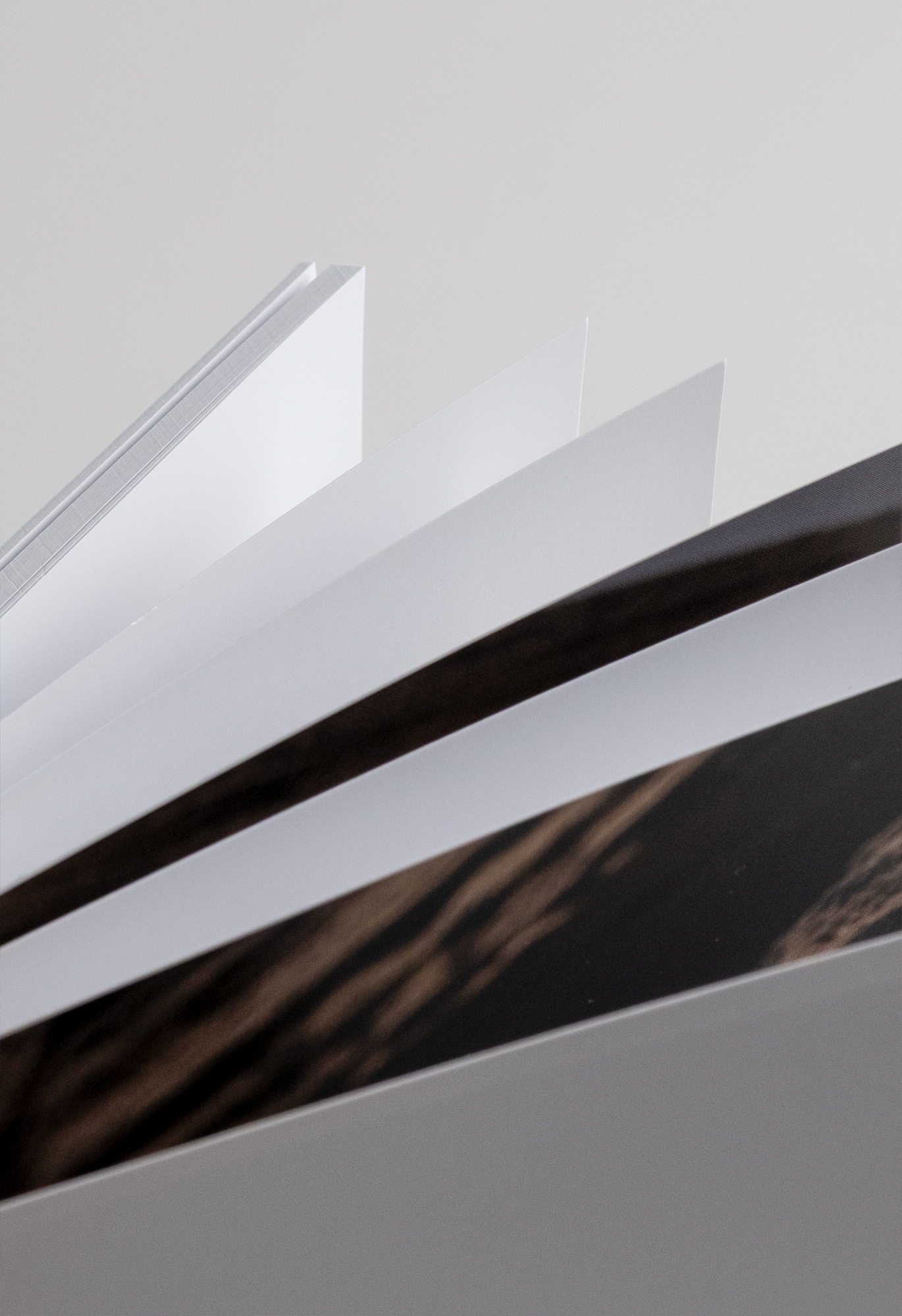 Colección Magazine Boudoir Detalles Estructurales 5