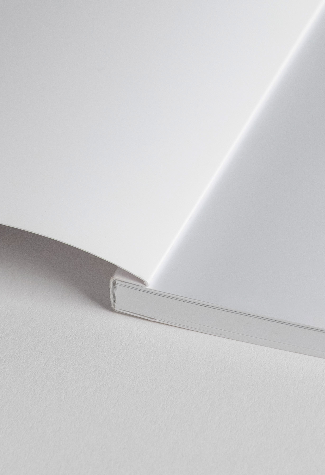 Colección Magazine Wedding Detalles Estructurales 3